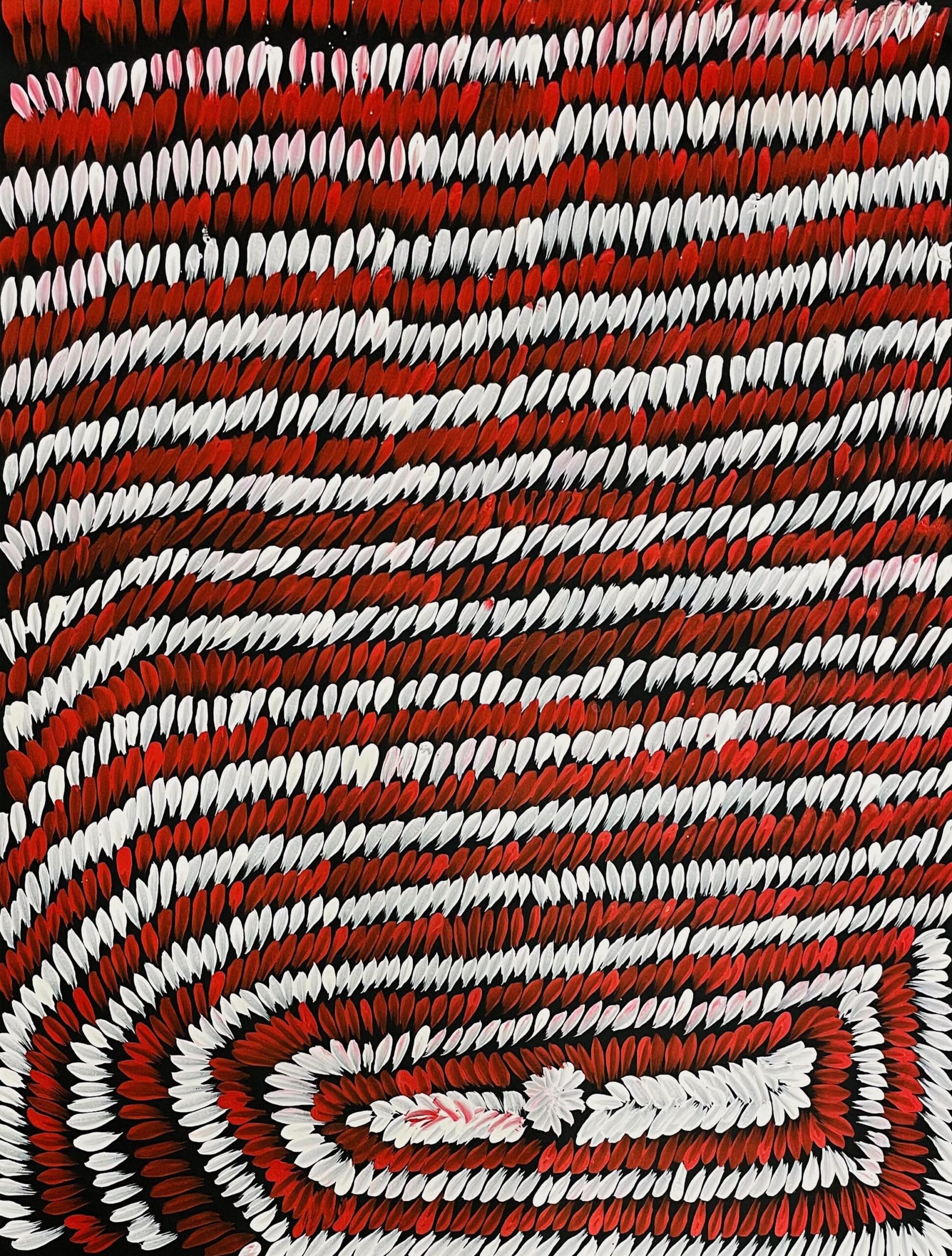 Barbara Pananka - Bush Medicine Leaves - 96x78cm - - North Sydney Shop - Image 6