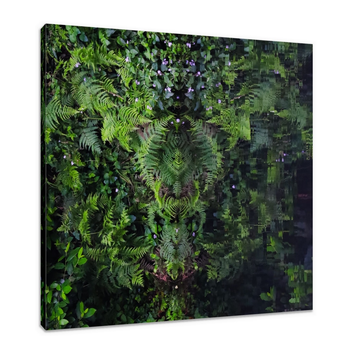 Canvas Print & Stretch